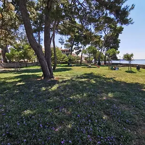 Apartment Nina Deluxe Superior 5 Star Apartment, Your Piece Of Heaven By The Sea & Park, Novigrad Istria